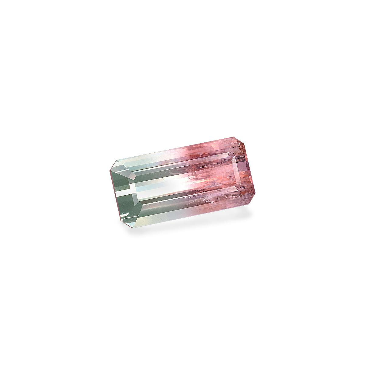 Bi Colour Tourmaline 9.65 ct